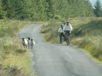 self guided tour bike hire