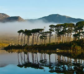 wild connemara bike tour