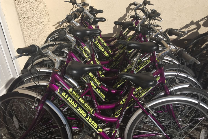 bike hire student bike